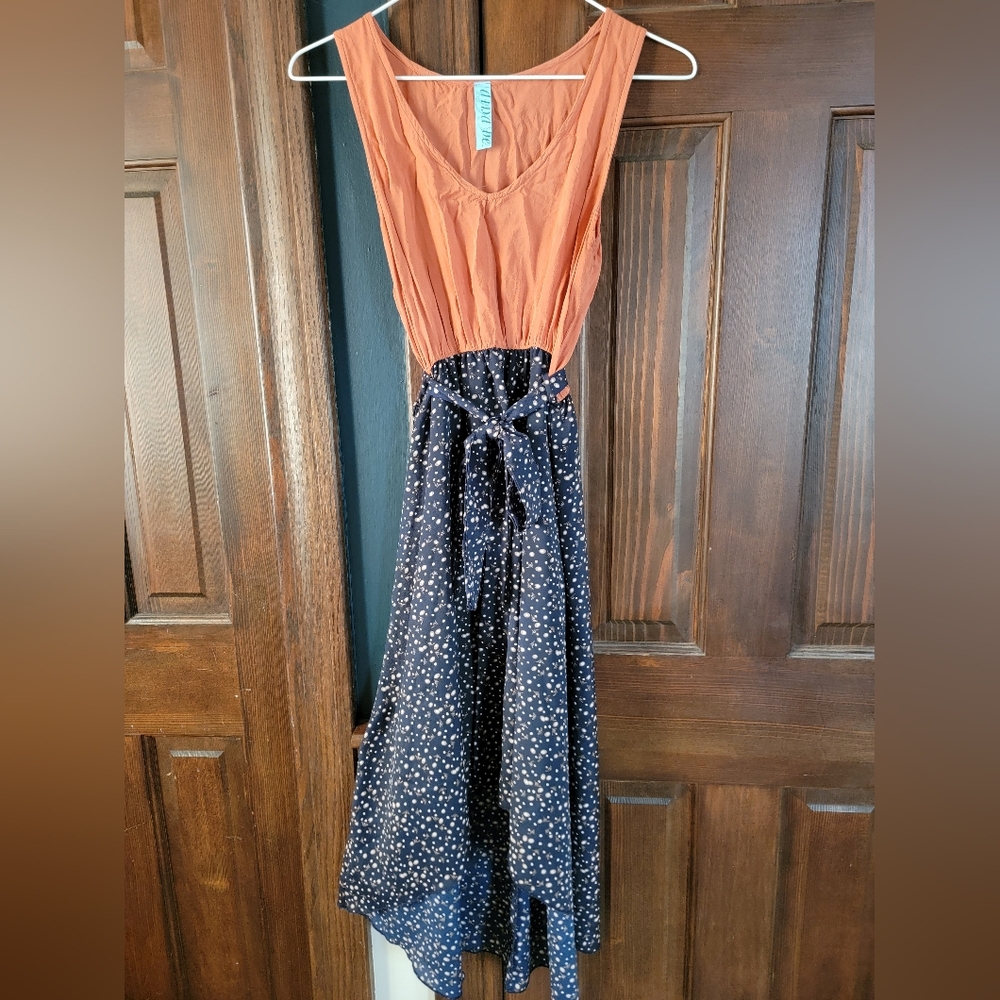 Francesca's Orange and Navy Floral Dress